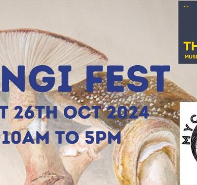 The Armitt presents: Fungi Fest!