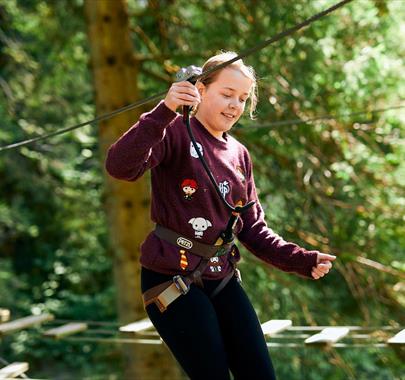 Family on a Treetop Challenge at Go Ape in Whinlatter Forest Park in Braithwaite, Lake District