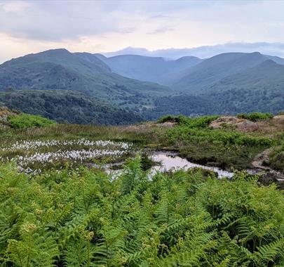 Scenic Lake District Views with Kelker Well Walks