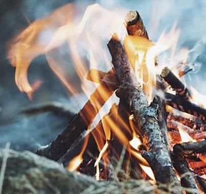 Women's Winter Solstice Cacao Ceremony with Lakeland Wellbeing in Whinlatter Forest, Lake District