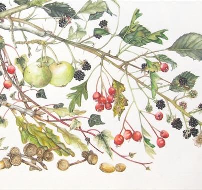'Botanical Art for the Terrified' with Lis Bramwell