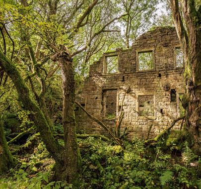 Photograph of an abandoned mill by Lee Whitworth