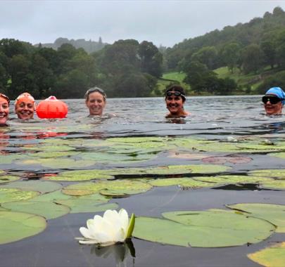 Loughrigg, Lakes and Lilies Wild Swim