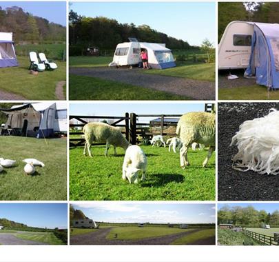 Low Moor Head Caravan Park near Longtown, Cumbria