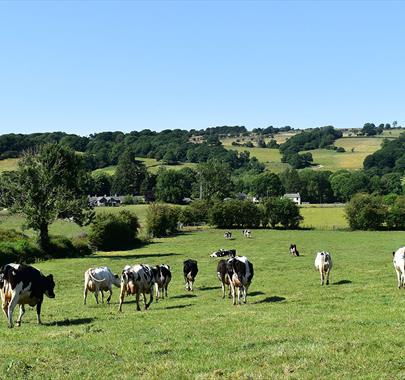 A Farm to Fork Tour. Photo: Midtown Milk House