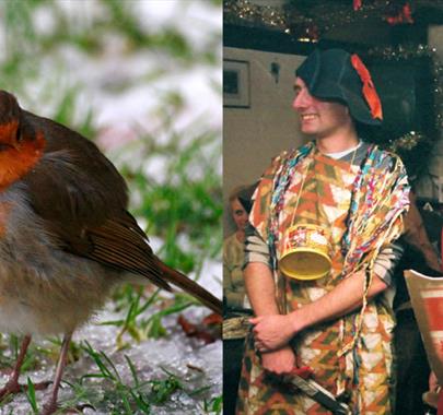 A photo of a Robin in snow and two men in fancy dress with a sword a shield