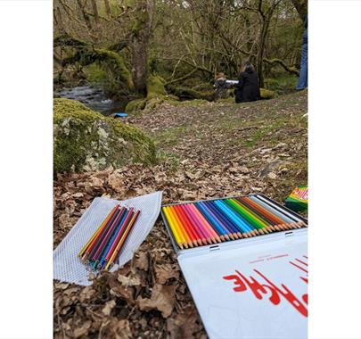 Nature Doodling at Wild Haweswater