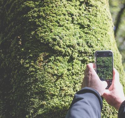 Nature Through a Lens with Natures Gems at Sizergh Castle in Sizergh, Cumbria