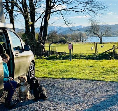 Dog Friendly Holiday Park at Park Foot Holiday Park in Pooley Bridge, Lake District