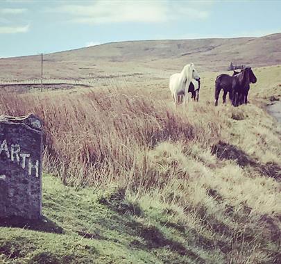Signage for the Lane to The Lodges at Artlegarth in Ravenstonedale, Cumbria