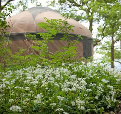 Glamping Yurt at Long Valley Yurts in Lakeside, Lake District