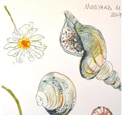 Learn to Draw from Observation ~ Friday PM Spring Series with Sarah Alty at Quirky Workshops at Greystoke Craft Garden & Barns in Greystoke, Cumbria