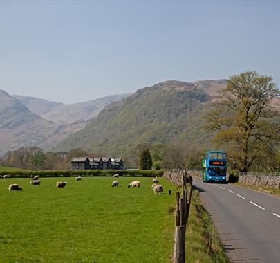 Stagecoach Buses