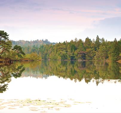 Lake District Swim Yoga Retreat