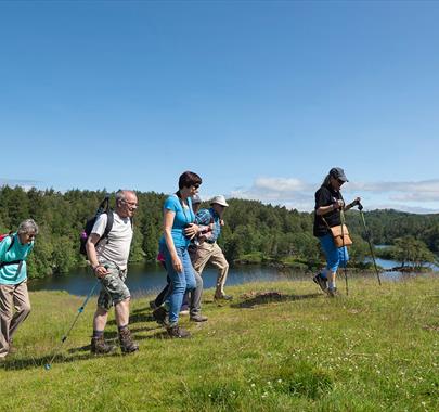Tarn Hows Cycle Route