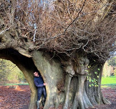 Visitor posing with a tree at the The Holker Tree Trail at Holker Hall & Gardens in Cark, Cumbria