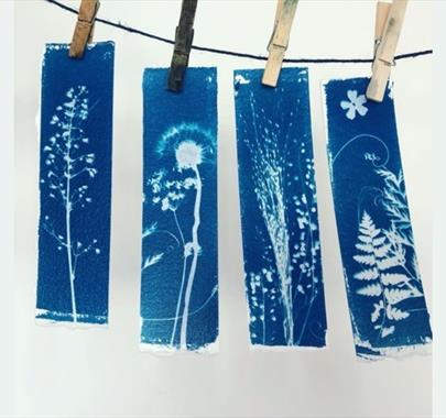 a photo of some cyanotype work being hung on a rope by pegs