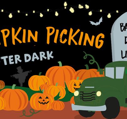 Poster for Pumpkin Picking After Dark at Walby Farm Park near Carlisle, Cumbria