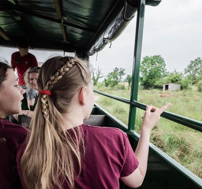 Tractor Tours for Schools & Group Visits to Walby Farm Park in Walby, Cumbria