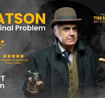 Watson - The Final Problem