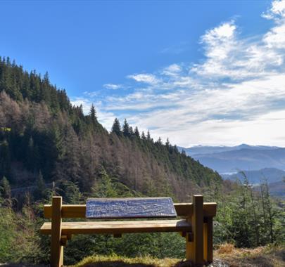 Photo from the Whinlatter Wow Trail for an Exclusive Preview and Afternoon Tea Event in Whinlatter Forest, Lake District