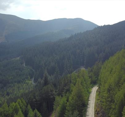 Whinlatter Forest pop up sauna