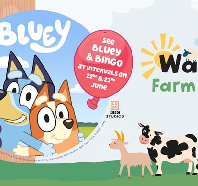 Poster for Bluey and Bingo on the Farm at Walby Farm Park in Crosby-on-Eden, Cumbria