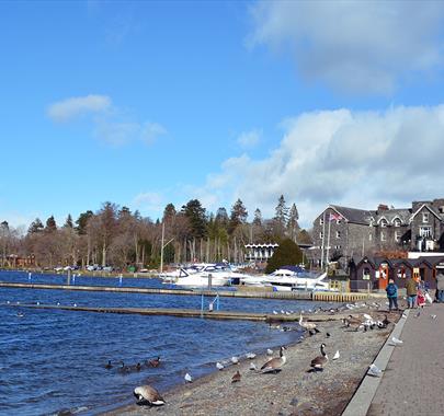 Bowness