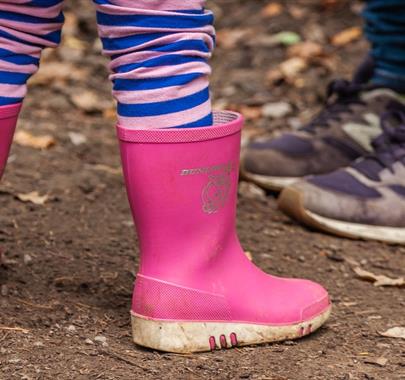 Festive welly walk at Whinlatter Forest in the Lake District, Cumbria