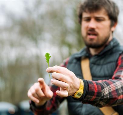 TASTER Foraging Workshop in Kirkby Lonsdale