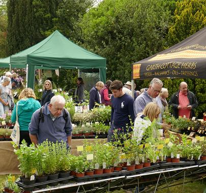 Dalemain Plant Fair