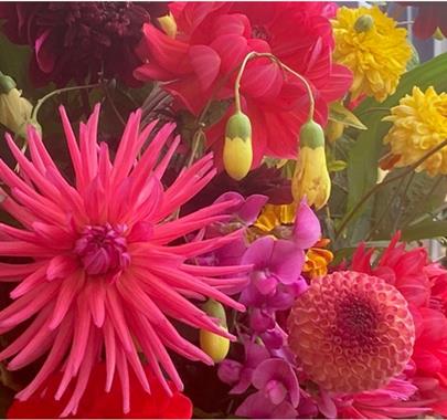 A cluster of different flowers