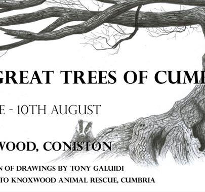 The Great Trees of Cumbria