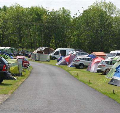 Camping pitches at Hillcroft Park Holiday Park in Pooley Bridge, Lake District