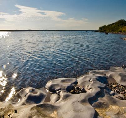 Hodbarrow Nature Reserve