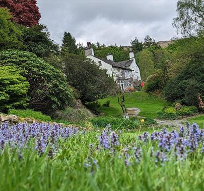 Flowers in a field with a house in the background