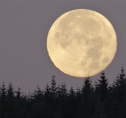 Photo of a full moon above a dimly lit forest
