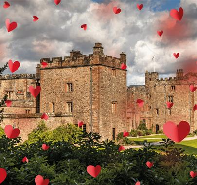 Valentine's Romantic Dinner in a Castle