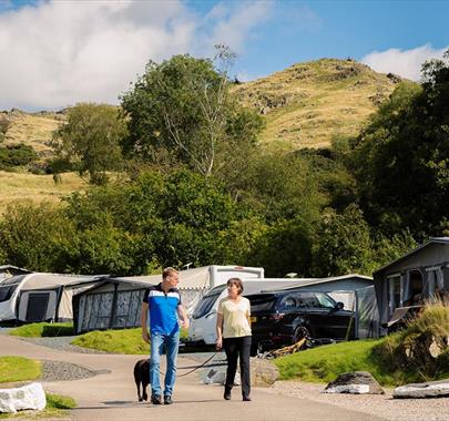 Camping Pitches at Park Cliffe Camping & Caravan Park in Windermere, Lake District