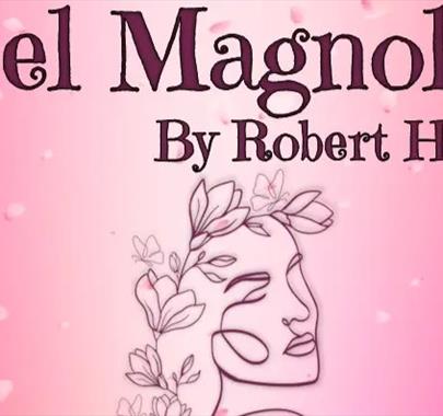 Whitehaven Theatre Group: Steel Magnolias