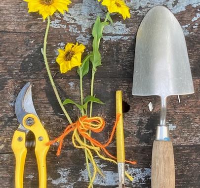 'Gardening for the Terrified' short course with Shelagh Todd - lecturer, garden designer & plantswoman