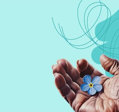An elderly hand holding onto a flower with a blue backdrop