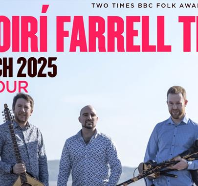 The Daoiri Farrell Trio - World Renowned Authentic Irish Folk Musician.