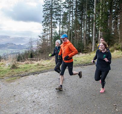 Running Trails at Whinlatter Forest, Lake District