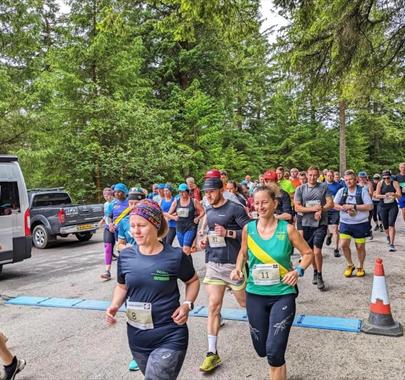 A group of runners in a forest