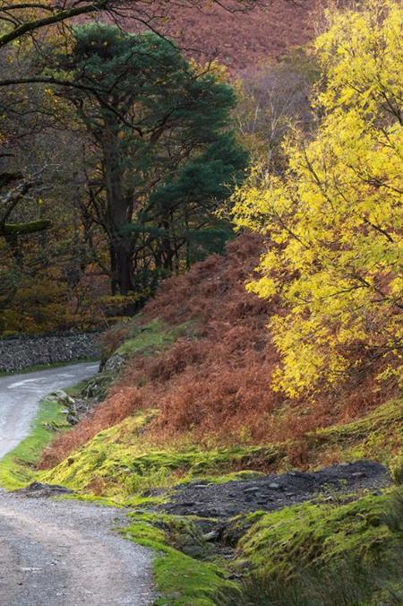 Coniston Coppermines Autumn