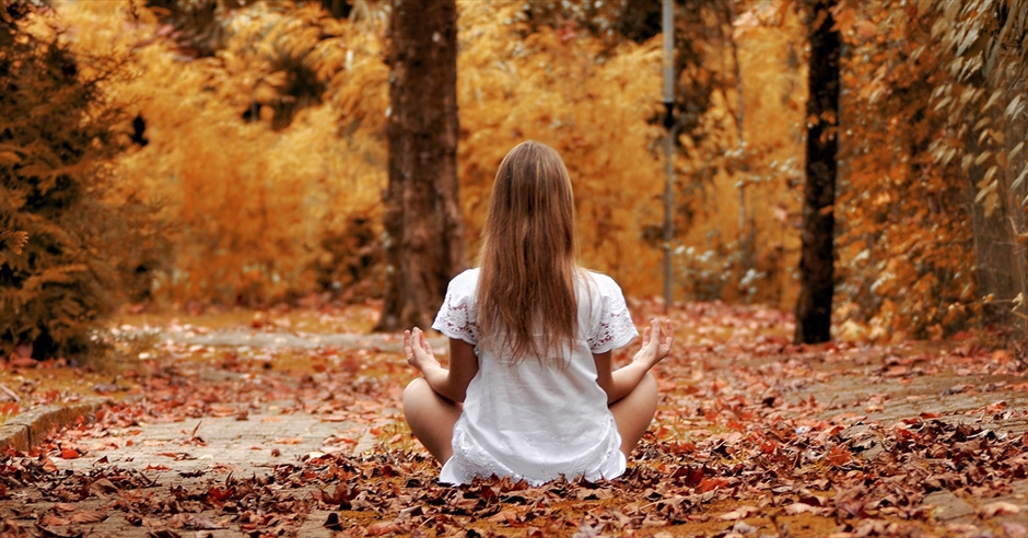 Forest Bathing - Visit Lake District