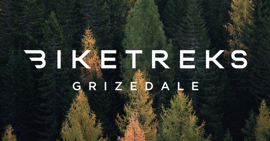 BikeTreks Grizedale - Ambleside - Visit Lake District