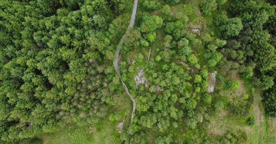 Grizedale Forest & Visitor Centre - Visit Lake District