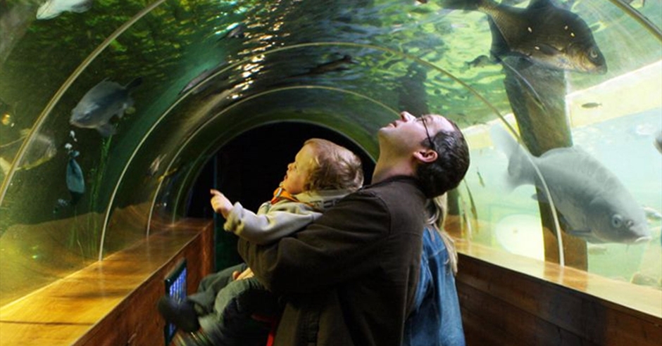 Topics Fishing : Great Lakes Aquarium